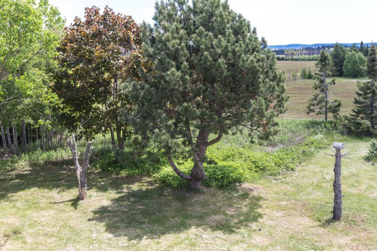 Fox Point Inn Parrsboro 外观 照片
